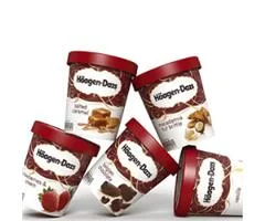 Haagen-Dazs 500ml